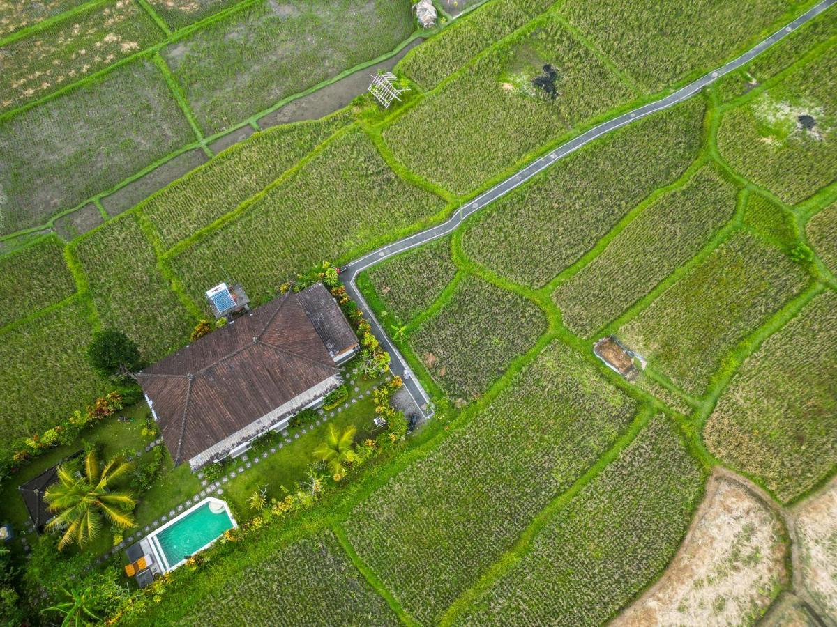 Buddha Homestay Ubud  Ngoại thất bức ảnh