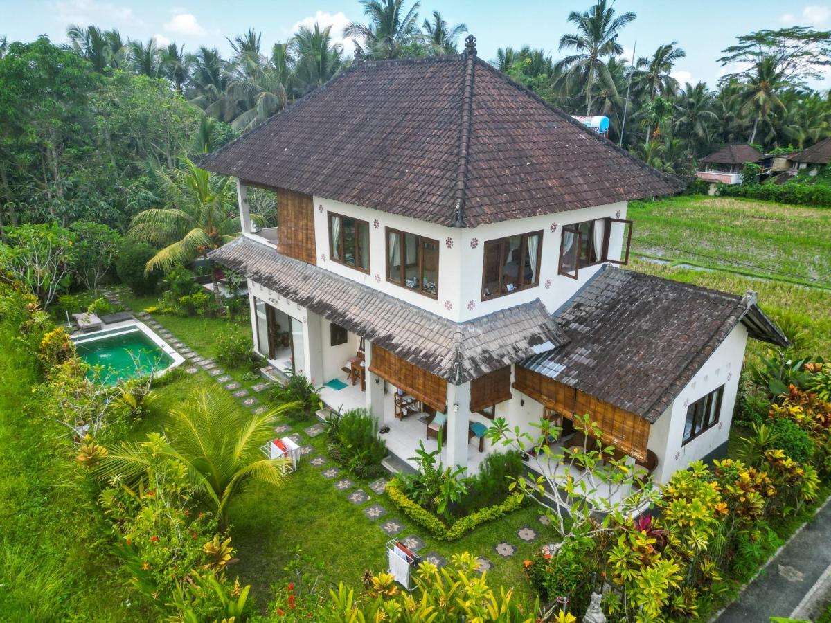 Buddha Homestay Ubud  Ngoại thất bức ảnh