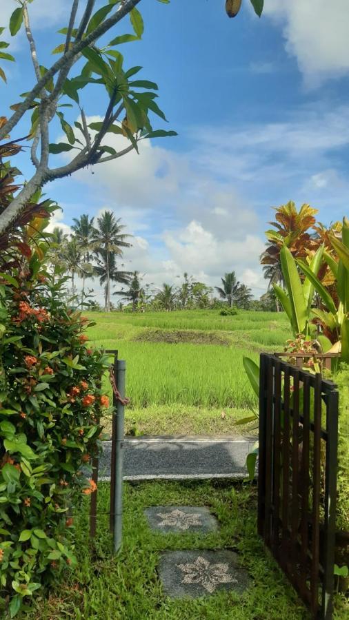 Buddha Homestay Ubud  Ngoại thất bức ảnh